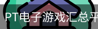 PT电子